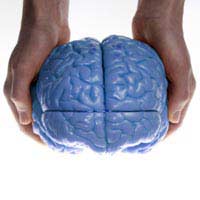 Addiction Memory Training Brain Path